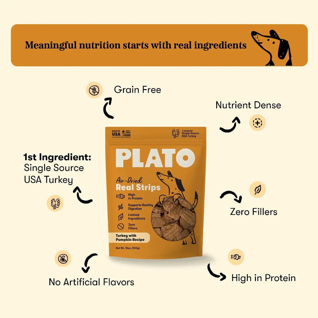 Plato Turkey with Pumpkin Real Strips ingredient graphic with turkey, pumpkin and treats, highlighting high-protein and grain-free nutrition.