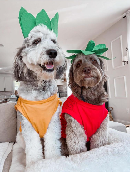 Midlee Strawberry Dog Costume