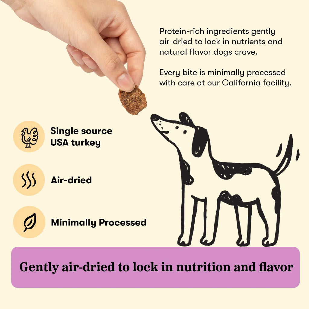 Hand holding a Plato Turkey with Pumpkin Jerky Bite above an illustrated dog, with USA turkey, air-dried and minimally processed callouts.