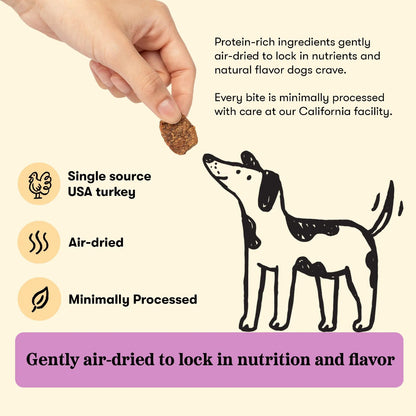 Hand holding a Plato Turkey with Pumpkin Jerky Bite above an illustrated dog, with USA turkey, air-dried and minimally processed callouts.