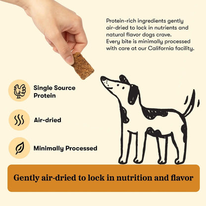 Hand holding a Plato Turkey with Pumpkin Real Strip above an illustrated dog, with USA turkey, air-dried and minimally processed callouts.