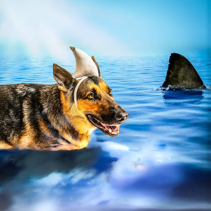 Midlee Shark vs. Lifeguard Halloween Dog Costume