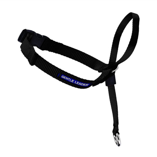 Black PetSafe Gentle Leader headcollar with an adjustable nose loop, quick-snap neck buckle, and metal leash attachment ring.