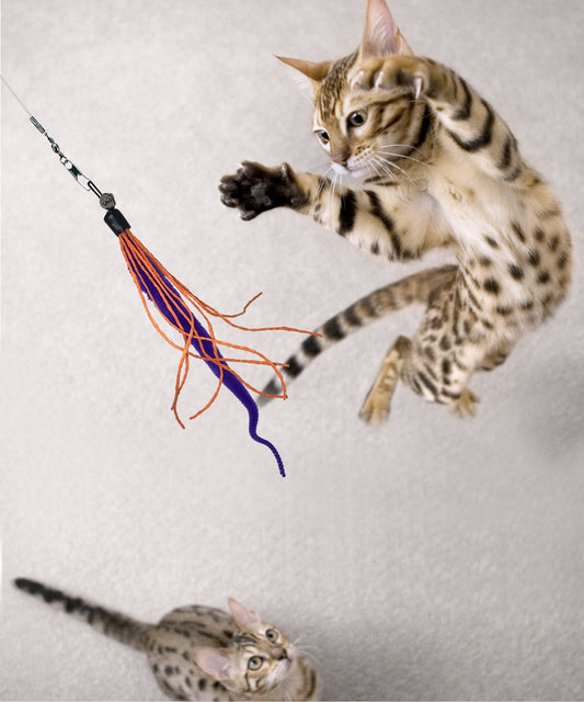 Spotted cat jumping toward a purple and orange Dezi & Roo Wiggly Wand lure while a second cat watches below.