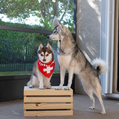 Midlee Shark vs. Lifeguard Halloween Dog Costume