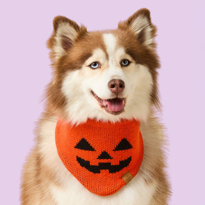 Brown and white dog against a pink background wearing The Foggy Dog orange Jack-o’-Lantern Knit bandana