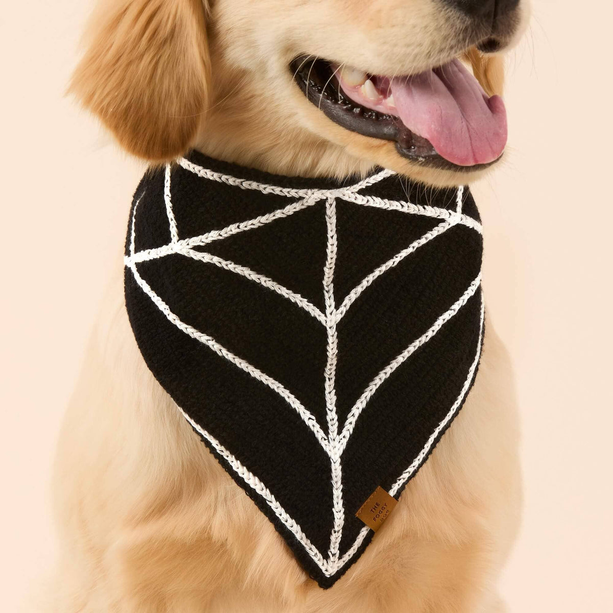 Close-up of The Foggy Dog Spiderweb Crochet bandana worn by a golden-colored dog, showing white web stitching on black fabric