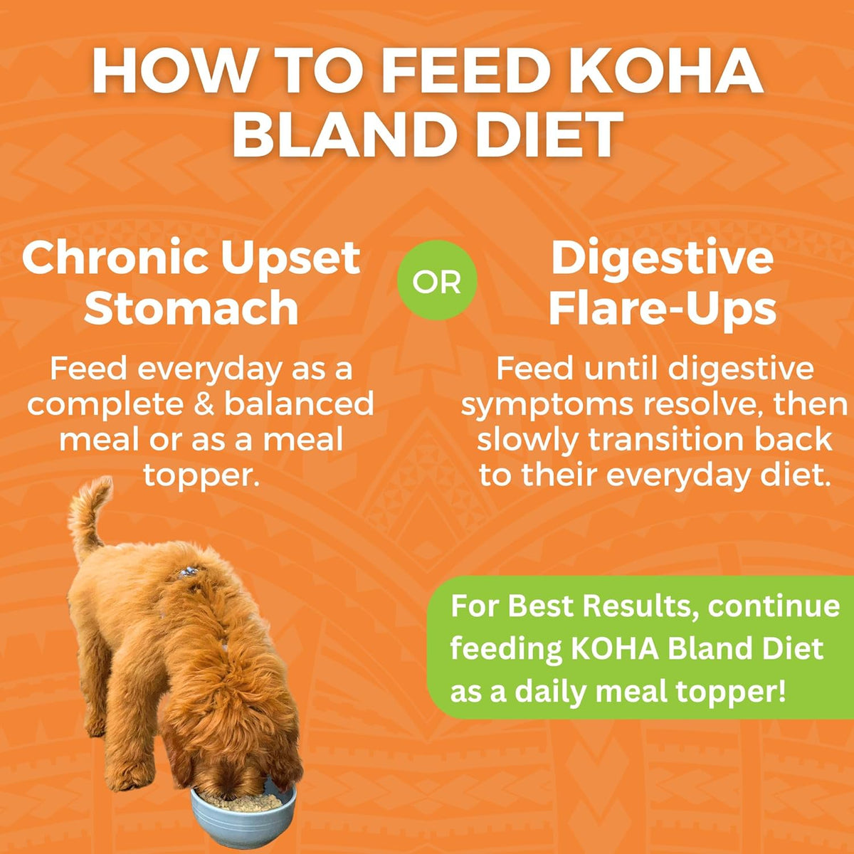 KOHA Bland Diet feeding graphic comparing everyday meal or topper use with feeding during digestive flare-ups.