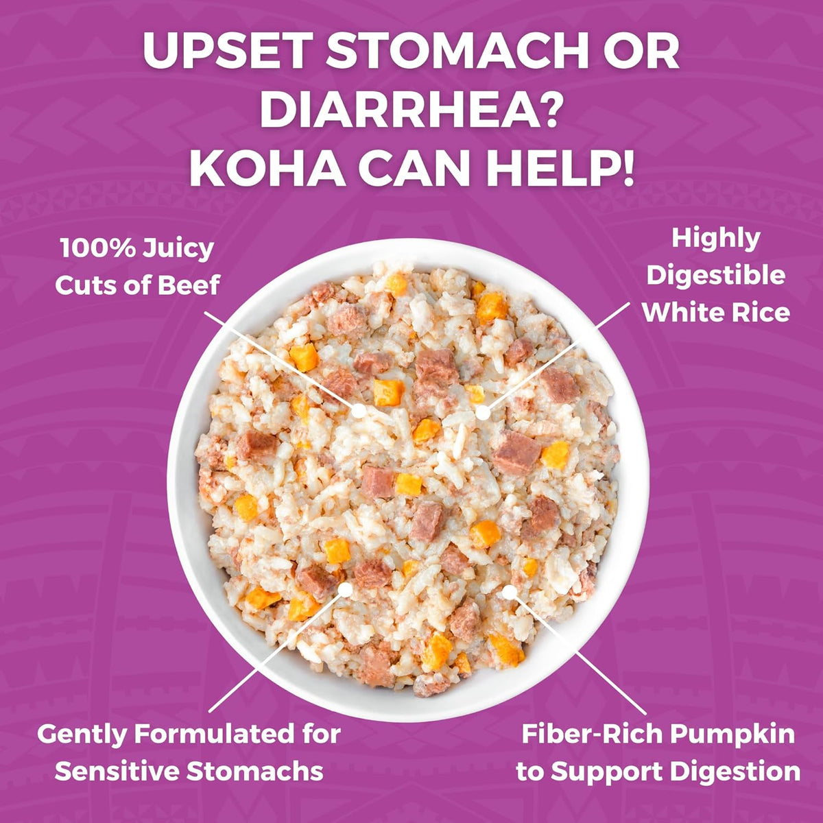 KOHA beef bland diet graphic showing beef, white rice, and pumpkin in a bowl with digestive support features.
