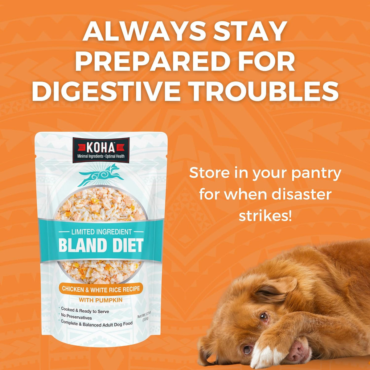 KOHA chicken bland diet pantry graphic with a food pouch and resting dog.