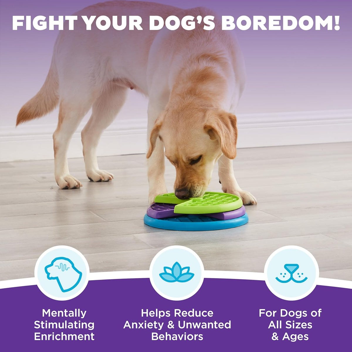 Yellow dog using the Lickin’ Layers puzzle, with an infographic describing mental enrichment and use by dogs of all sizes and ages.