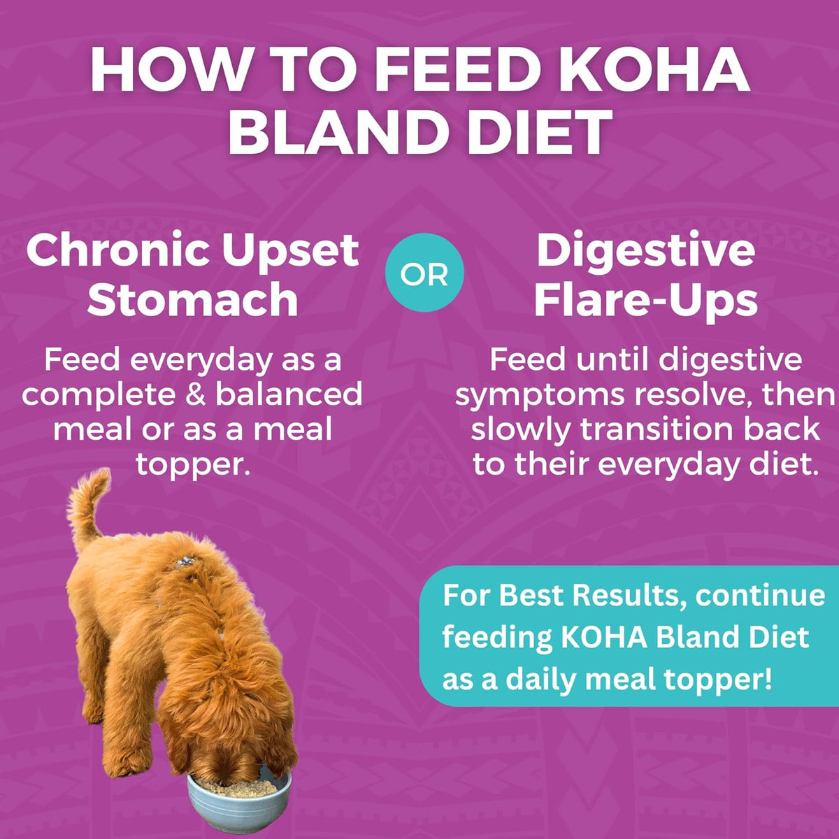 KOHA Bland Diet feeding graphic comparing everyday meal or topper use with feeding during digestive flare-ups.