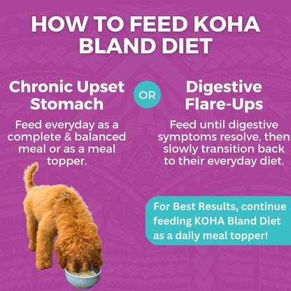 KOHA Bland Diet feeding graphic comparing everyday meal or topper use with feeding during digestive flare-ups.