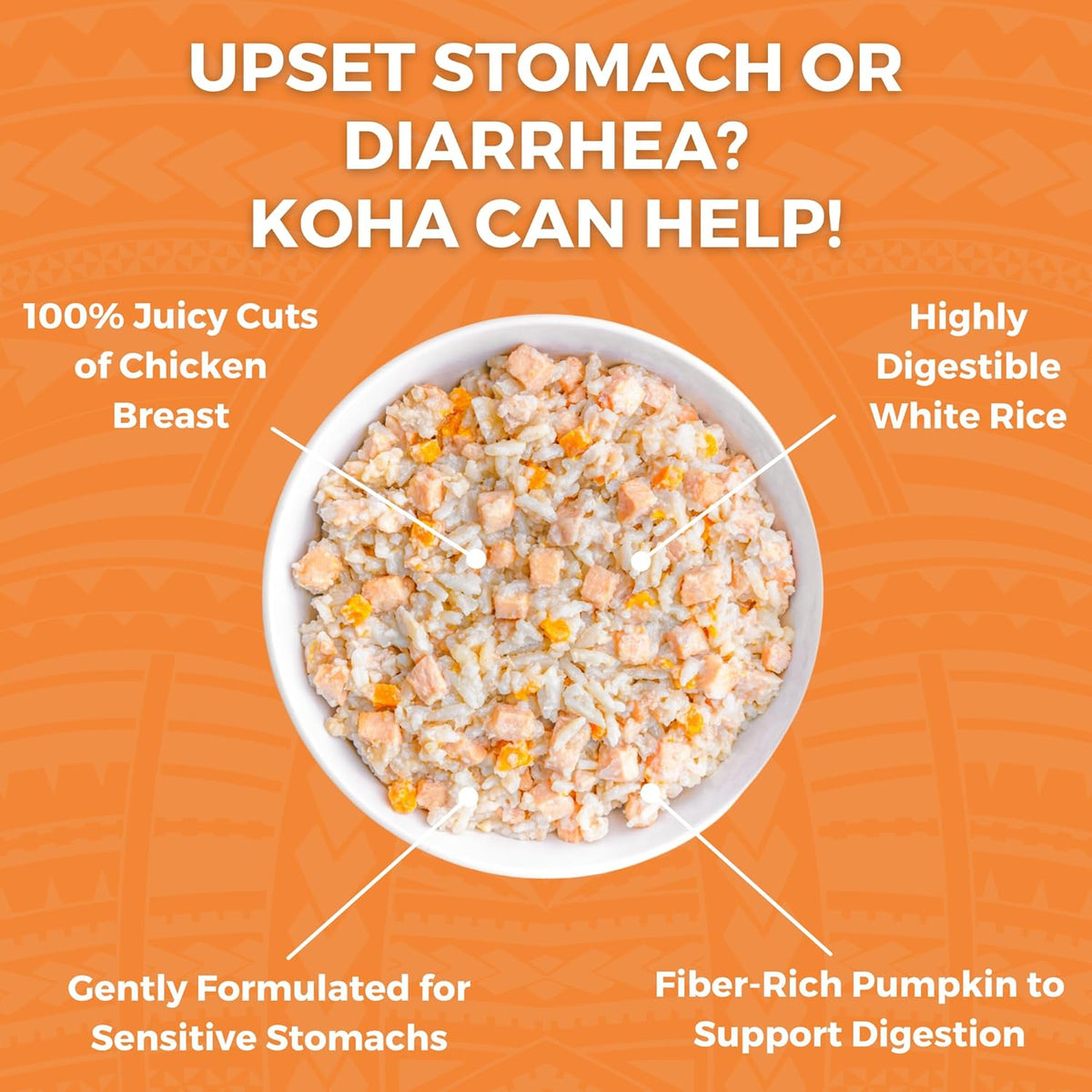 KOHA chicken bland diet graphic showing chicken breast, white rice, and pumpkin in a bowl with digestive support features.