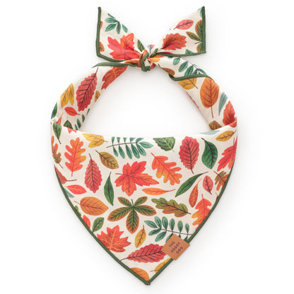 The Foggy Dog Falling Leaves dog bandana with colorful autumn leaves on cream fabric and green edging