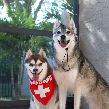 Midlee Shark vs. Lifeguard Halloween Dog Costume