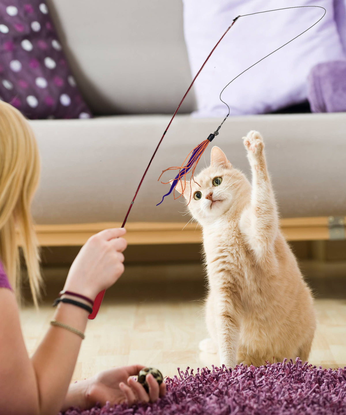 Cream-colored cat standing on its hind legs to reach a Wiggly Wand lure held by a person beside a purple rug.