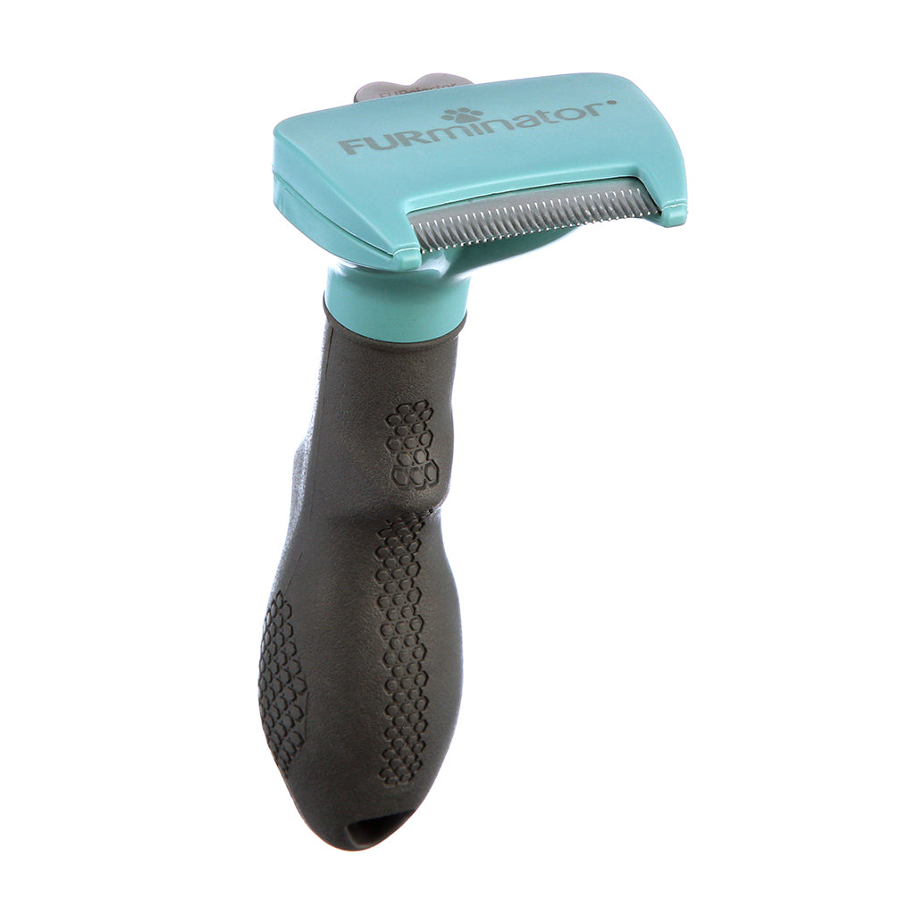 Front view of a turquoise FURminator cat deShedding tool with a stainless steel edge and textured gray handle
