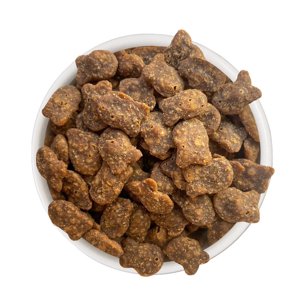 Top view of a white bowl filled with brown fish-shaped Cat Person Savory Salmon crunchy cat treats.