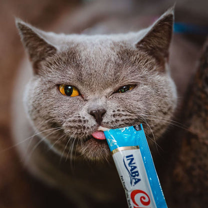Cat eating Churu Chicken Puree 