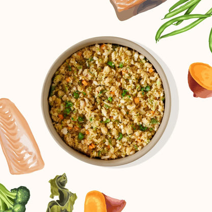 Bowl of My Perfect Pet Reduced Fat White Fish Recipe surrounded by illustrations of ingredients, including sweet potato, broccoli, and green beans
