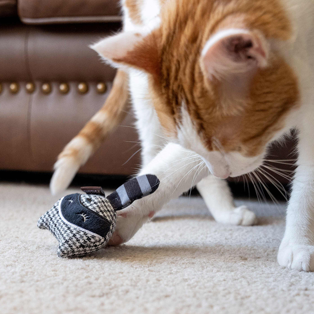 Cat playing with Feline Frenzy Bandit Buddies Catnip Toy 