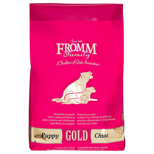Gold Puppy