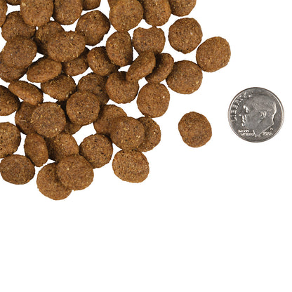 Gold Reduced Activity & Senior compared in size to a dime. 