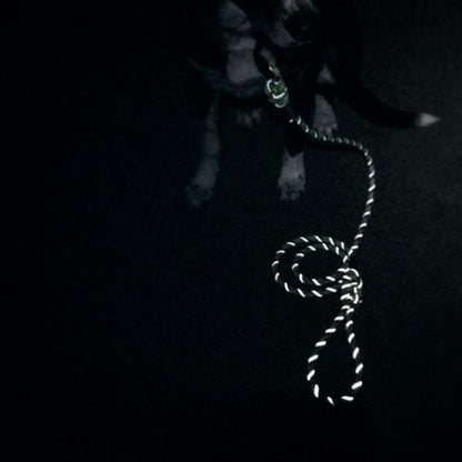Rope Leash Alpine Reflective