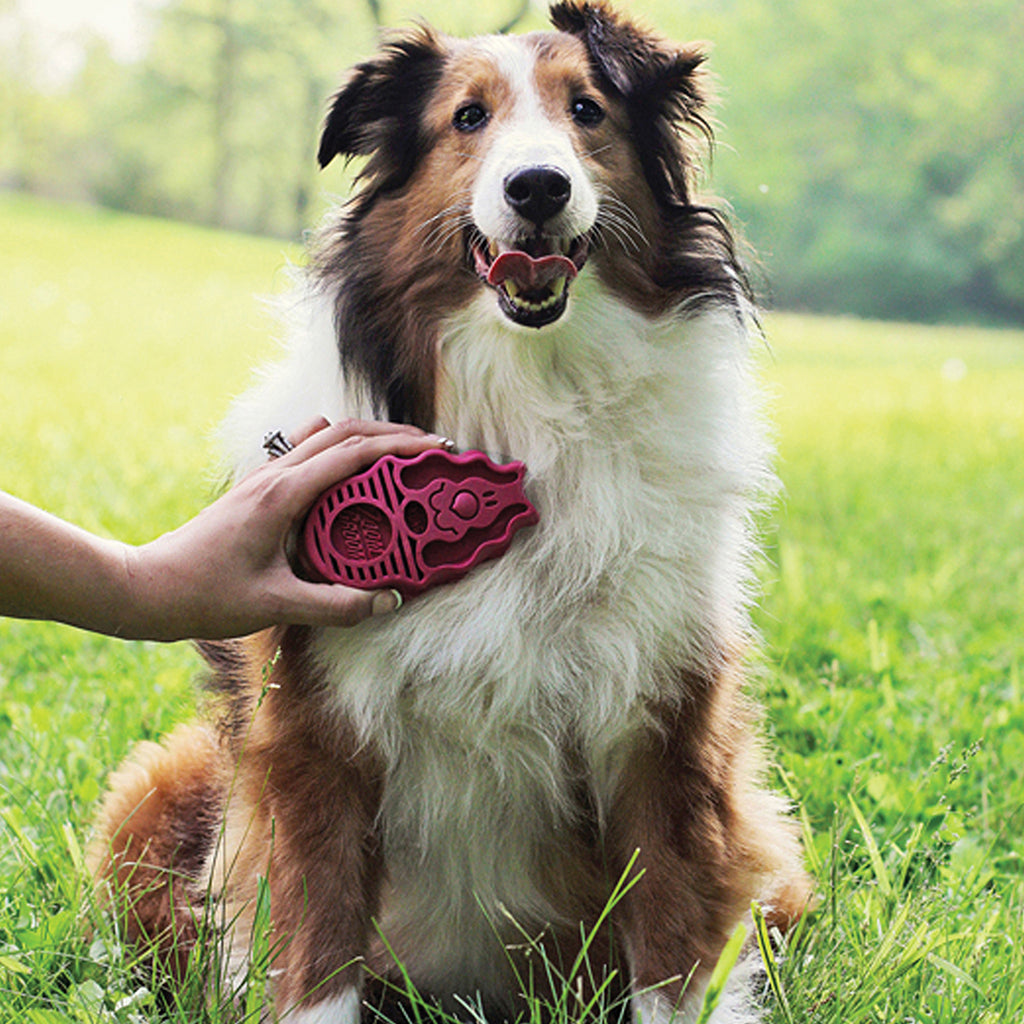 Person grooming a long-haired dog’s chest with a pink KONG ZoomGroom brush outdoors.