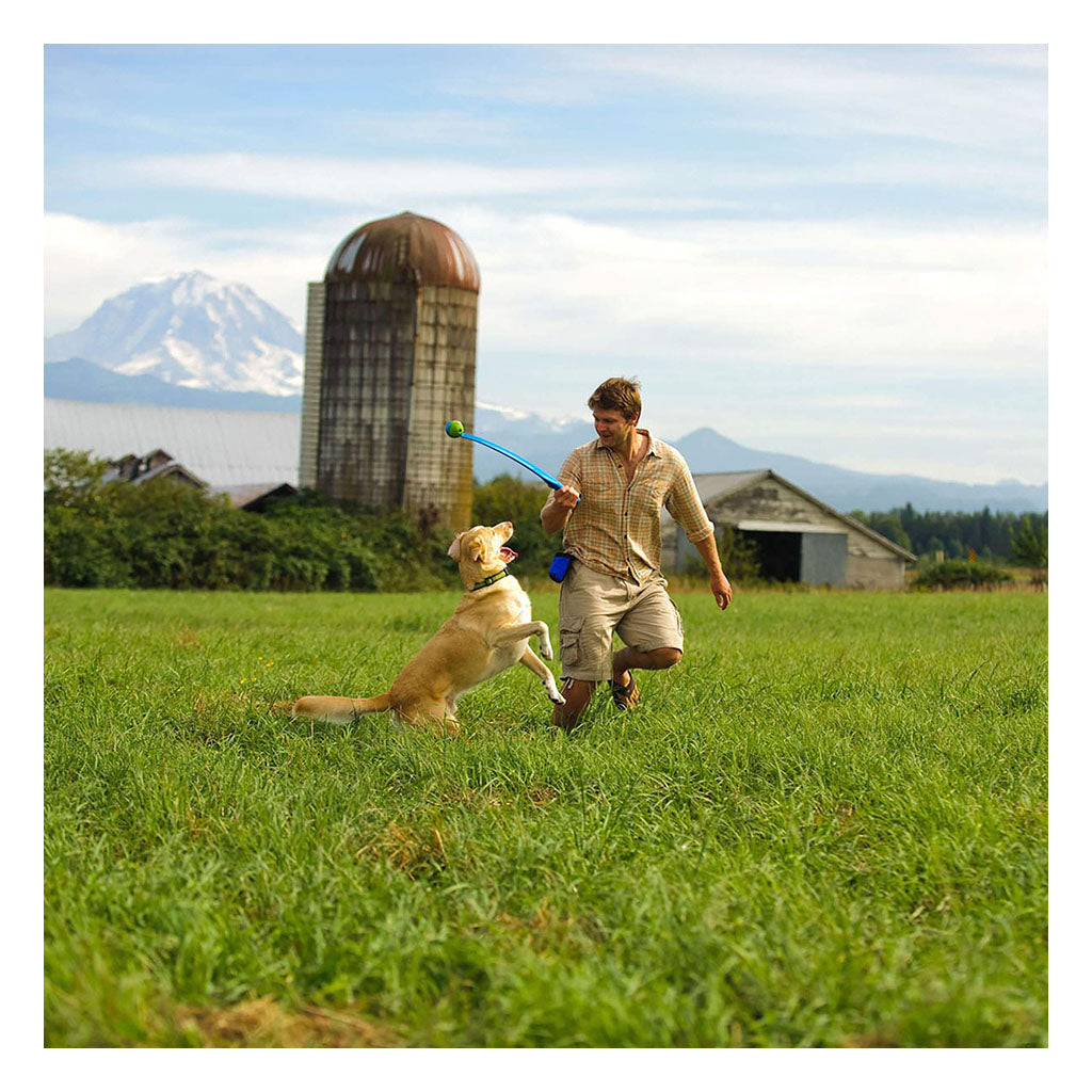 Person holding a blue Chuckit! Classic Ball Launcher while a yellow dog jumps beside them in a grassy field.
