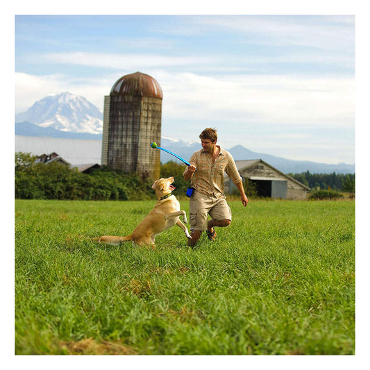 Person holding a blue Chuckit! Classic Ball Launcher while a yellow dog jumps beside them in a grassy field.