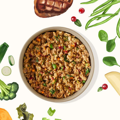 Bowl of My Perfect Pet Beef Recipe surrounded by illustrated ingredients, including spinach, cranberries, broccoli, and green beans