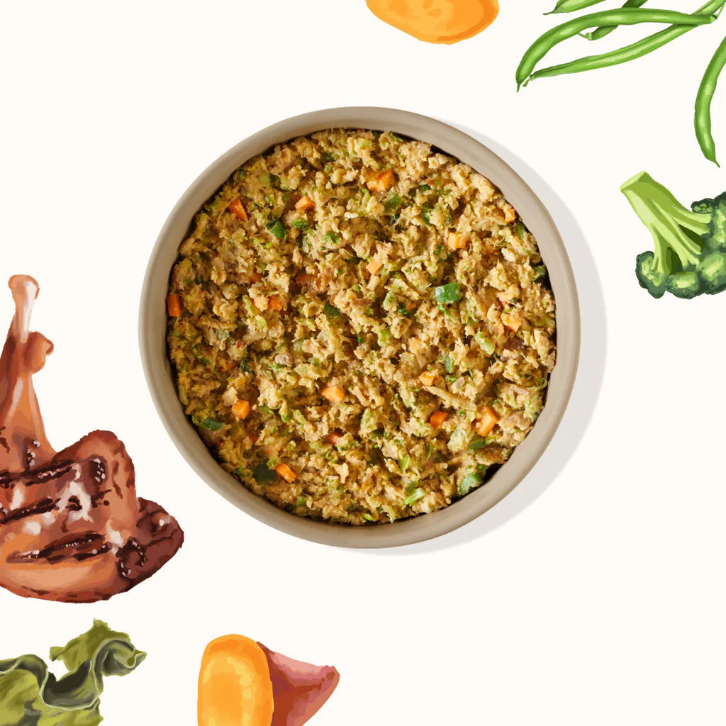 bowl of my perfect pet reduced carbohydrate turkey recipe surrounded by illustrations of its ingredients, including broccoli, sweet potato, and green beans