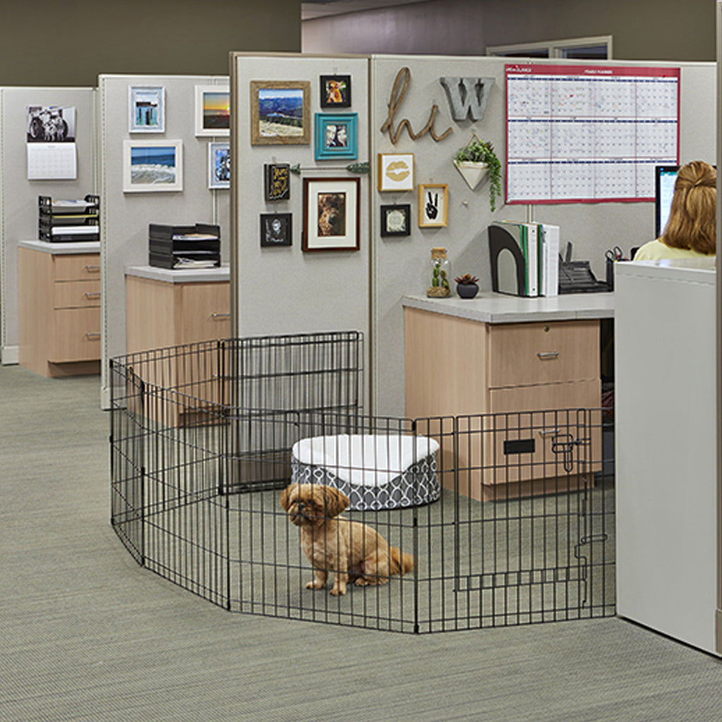 Dog in Contour Exercise Pen