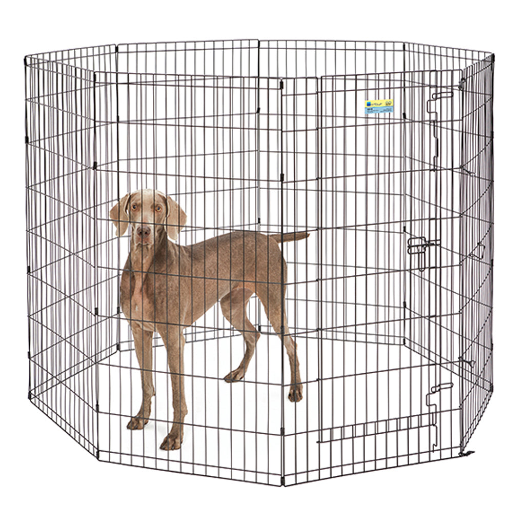 Dog in Contour Exercise Pen