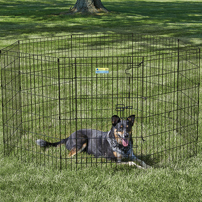 Dog in Contour Exercise Pen at the park