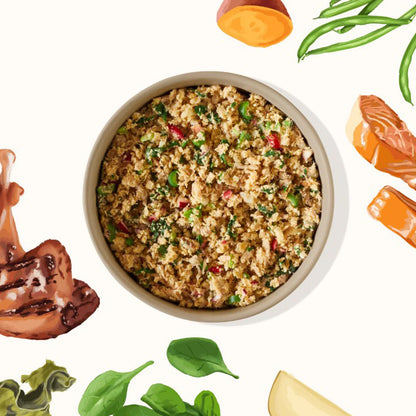 Bowl of My Perfect Pet Turkey and Salmon recipe surrounded by illustrations of ingredients, including spinach, salmon, sweet potato, and green beans