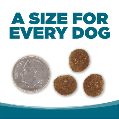 Comparing kibble size of Adult Chicken & Rice Recipe to a dime.