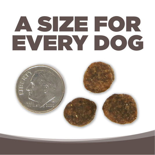 Nutrisource kibble size compared to a dime.