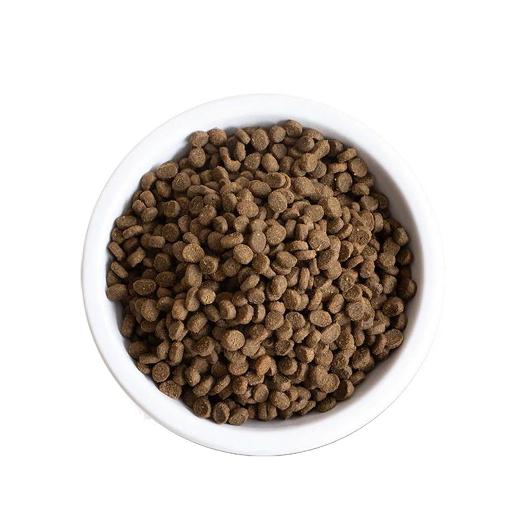 Chicken & Turkey Grain-Free Kitten Kibble in a bowl.