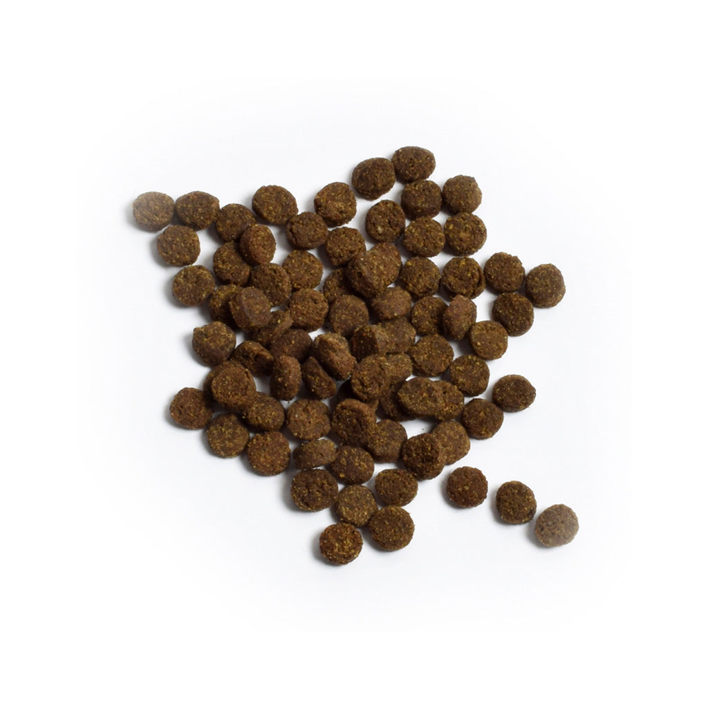 Pasture-Raised Lamb Grain-Free Cat loose kibble 