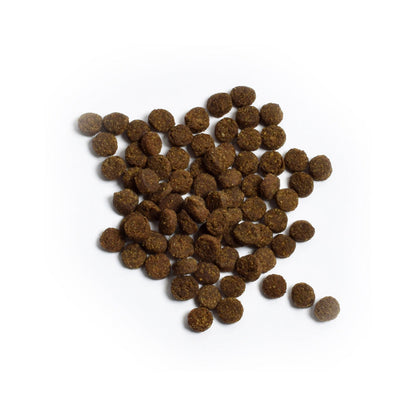Pasture-Raised Lamb Grain-Free Cat loose kibble 