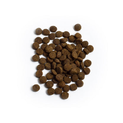 *Wild-Caught Salmon Grain-Free Cat Kibble