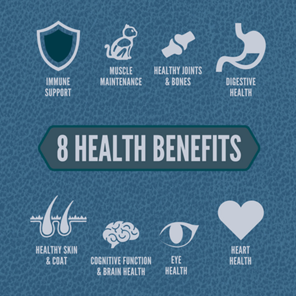 ORIJEN Guardian 8 graphic with icons for immune support, muscle maintenance, joints and bones, digestion, skin and coat, brain, eye and heart health.