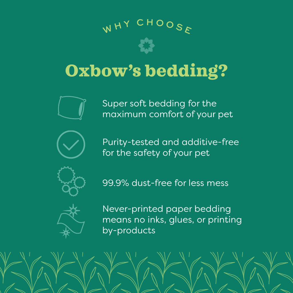Pure Comfort White Bedding