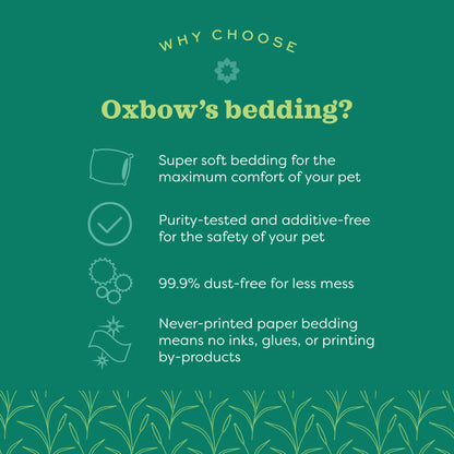 Pure Comfort White Bedding