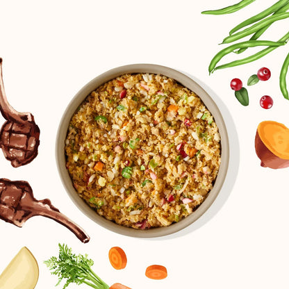 Bowl of My Perfect Pet Controlled Phosphorous Lamb Recipe surrounded by illustrations of ingredients, including carrots, sweet potato, and green beans