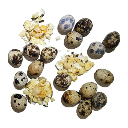 Freeze-dried Quail Eggs 2.75oz out of container. 