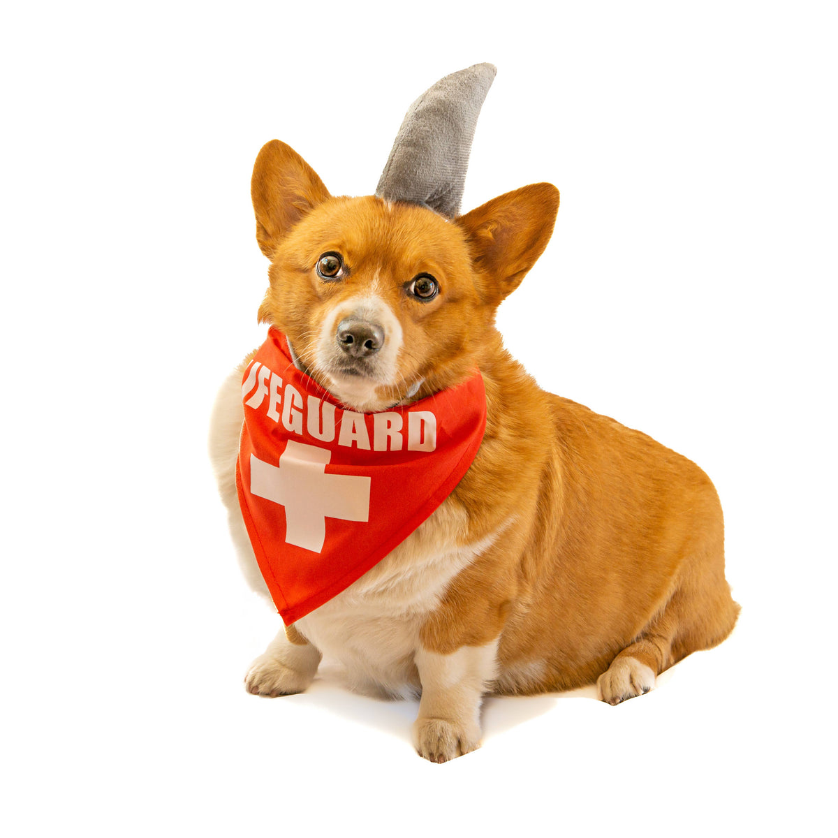 Midlee Shark vs. Lifeguard Halloween Dog Costume